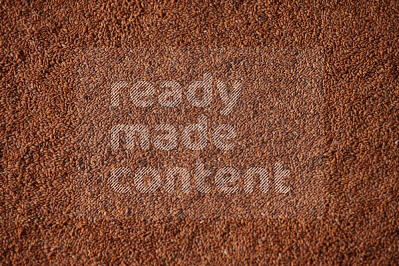 بذور حب الرشاد تملأ الخلفية على أرضية سوداء