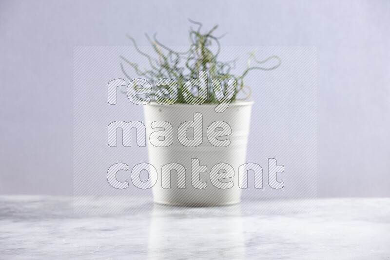 Artificial plant in white pot on grey marble background