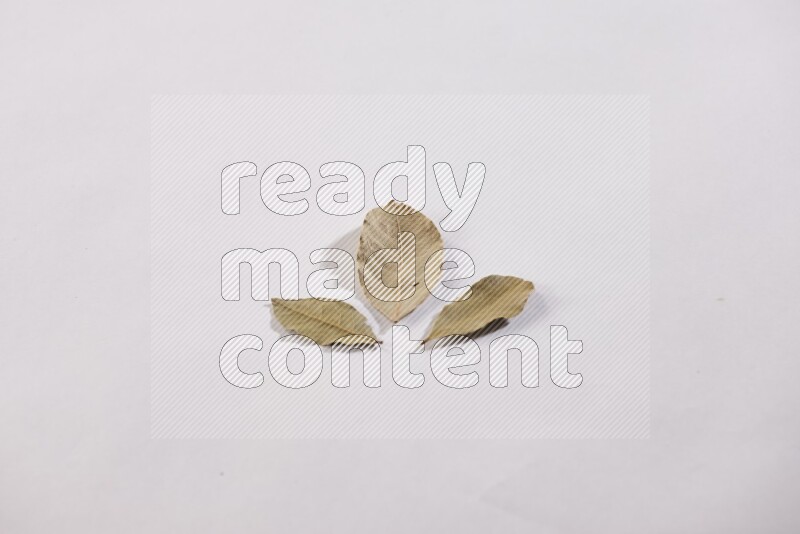 Dried bay leaves on white flooring in different angles