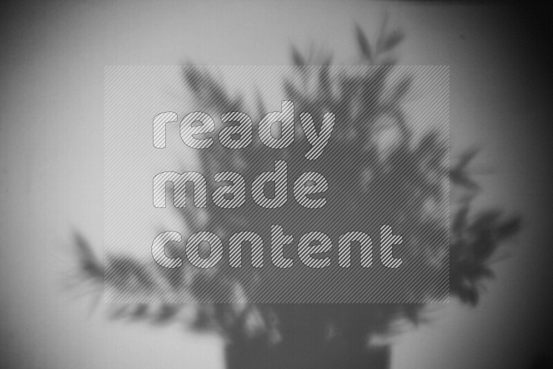 A delicate gobo light projects the silhouette of plant leaves onto a smooth surface