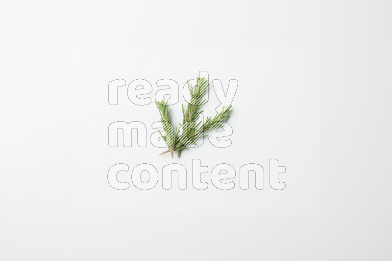 Multi fresh rosemary sprigs on white background
