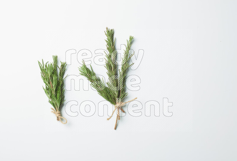Multi fresh rosemary sprigs on white background