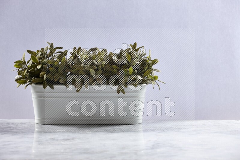 Multiple green artificial plants in white pot on grey marble background