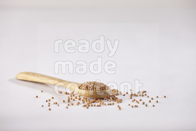 A wooden spoon full of mustard seeds on a white flooring