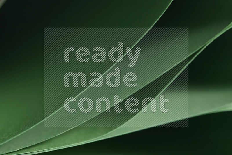 فن تجريدي يعرض المنحنيات المرتبة للأوراق باللون الأخضر