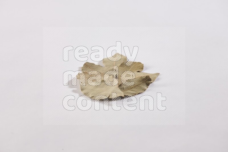 Dried bay leaves on white flooring in different angles