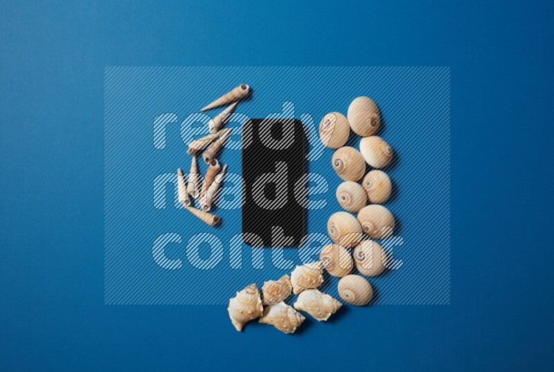 top view shot of phone with seashells on blue background