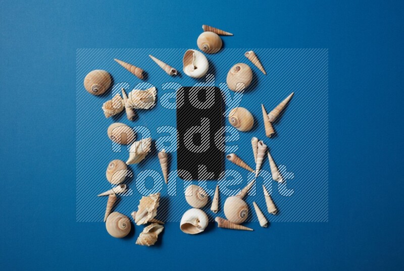 top view shot of phone with seashells on blue background