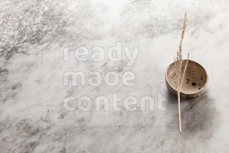 Wheat stalks on multicolored pottery bowl on grey marble background