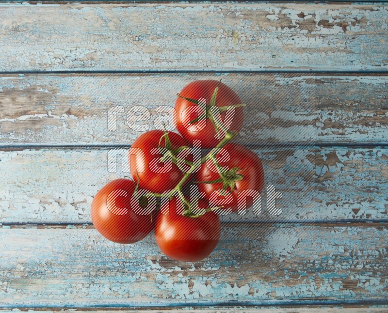 big tomato vein topview  on a textured vinyl background