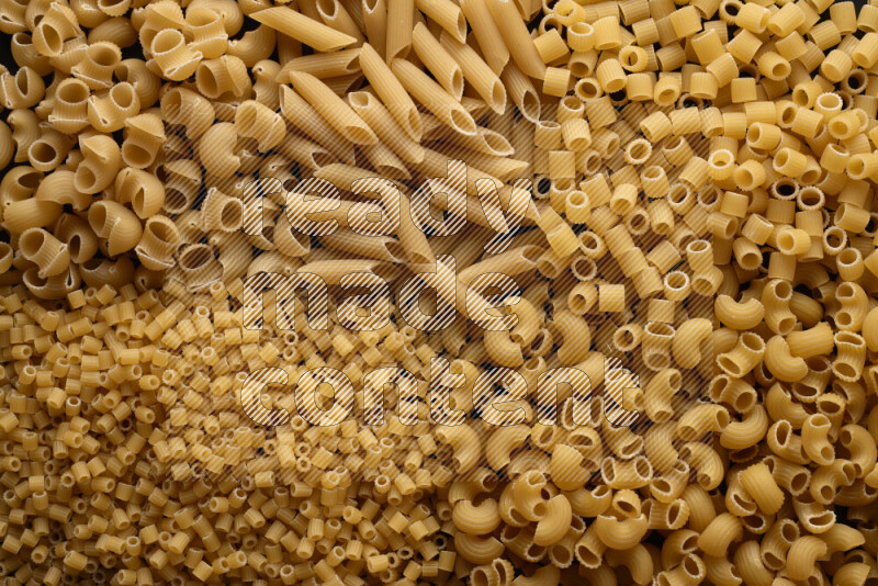 5 types of pasta filling the frame