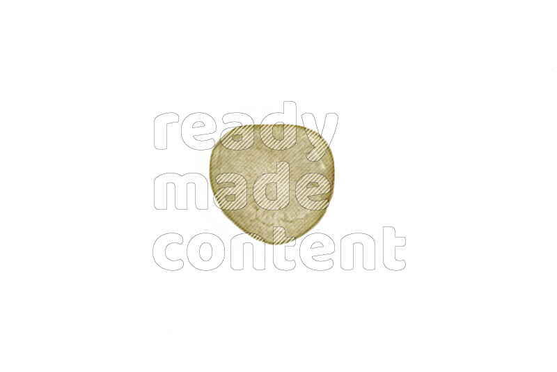 Plum slices on illuminated white background