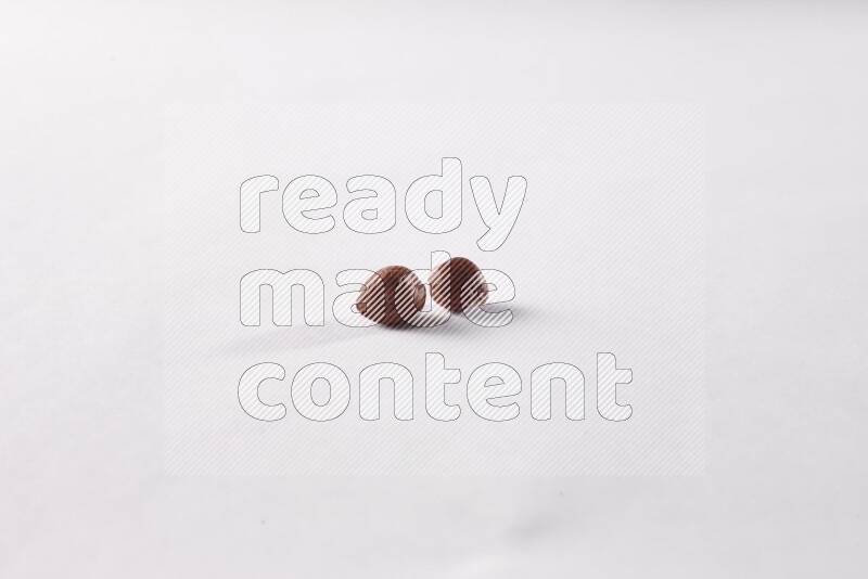 Hazelnuts on white background