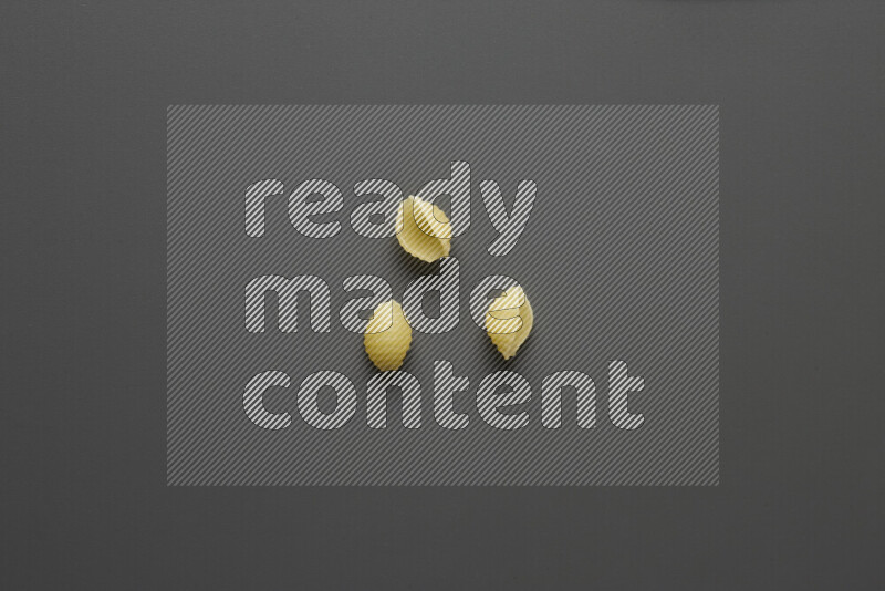 Shells pasta on grey background
