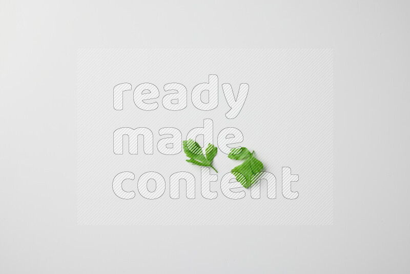 Scattered fresh parsley leaves on white background