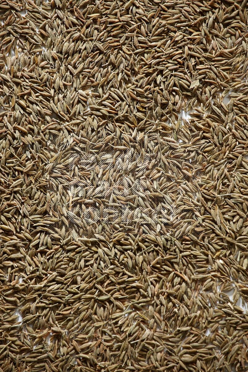 Cumin seeds on white flooring