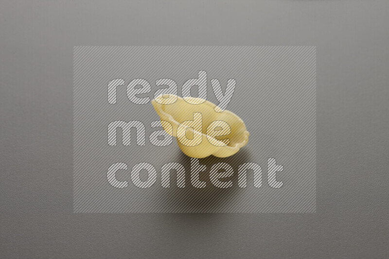 Snails pasta on grey background