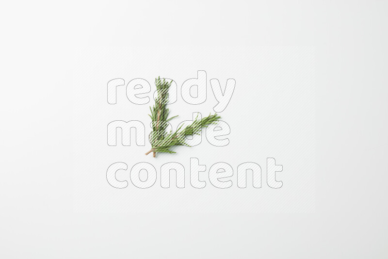Two fresh rosemary sprigs on white background