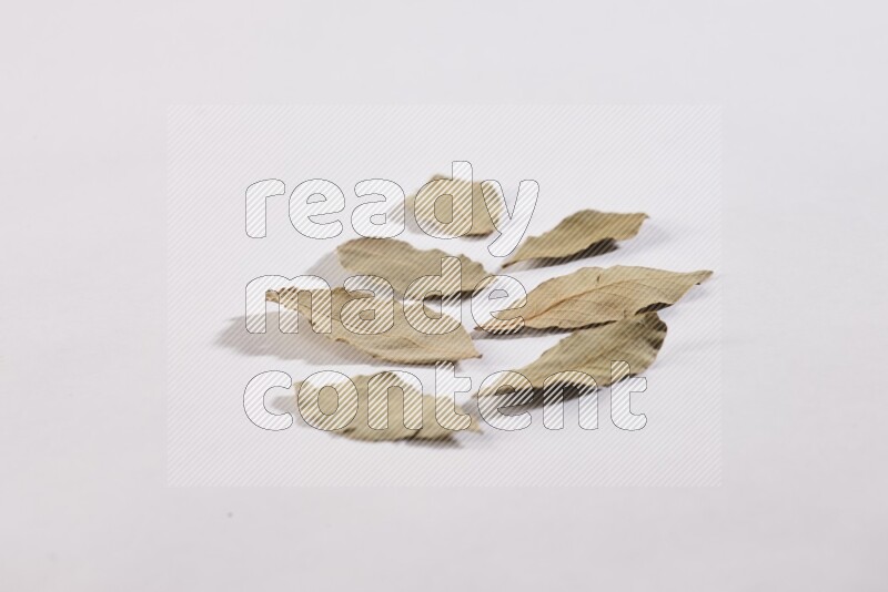 Dried bay leaves on white flooring in different angles