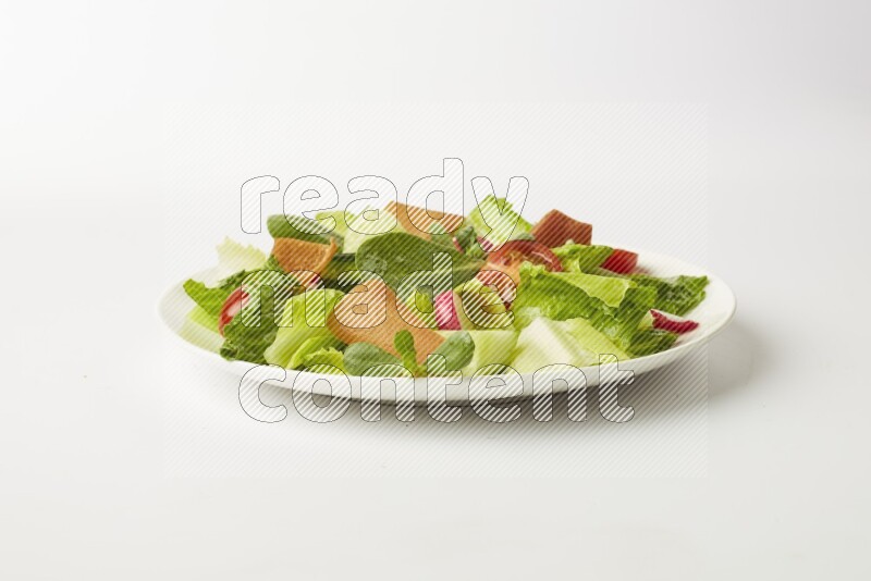 fattoush salad in a white plate direct on a white background