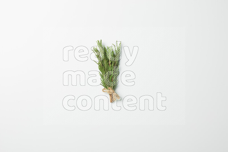 Multi fresh rosemary sprigs on white background