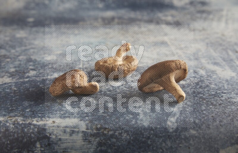 45 degre shiitake mushrooms on a textured rustic blue background