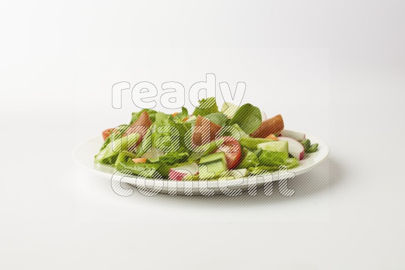 fattoush salad in a white plate direct on a white background