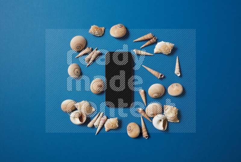 top view shot of phone with seashells on blue background