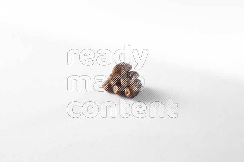 Dates on white background