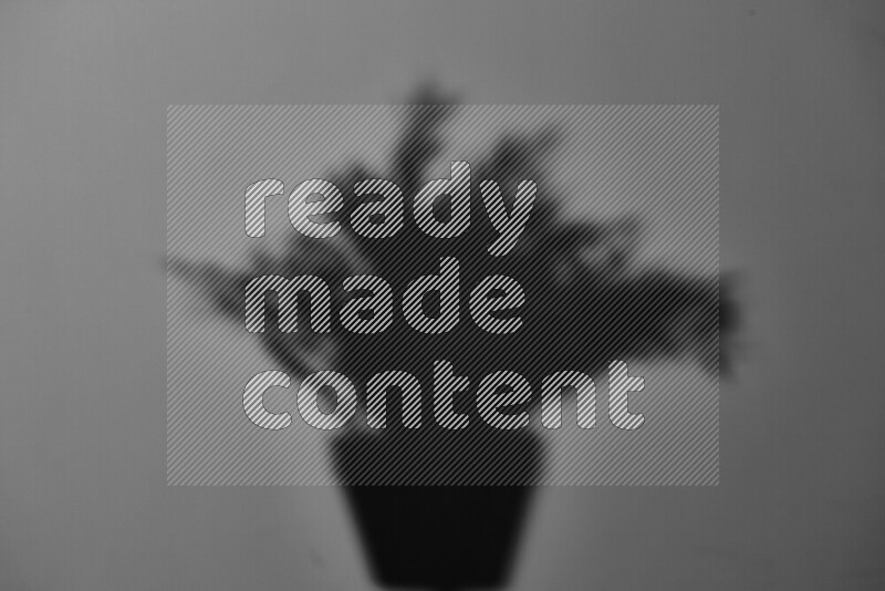 A delicate gobo light projects the silhouette of plant leaves onto a smooth surface