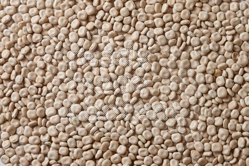 Lupin Beans on white background