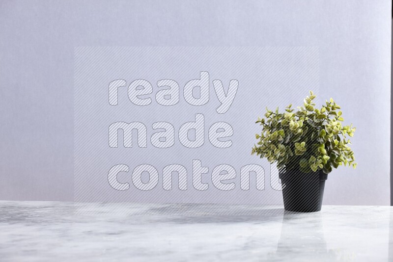 Green artificial plant in black pot on grey marble background