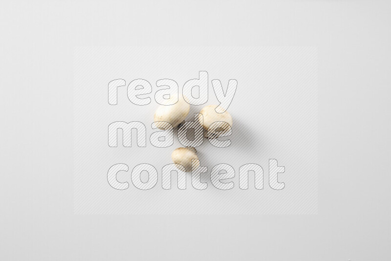 Mushrooms on white background