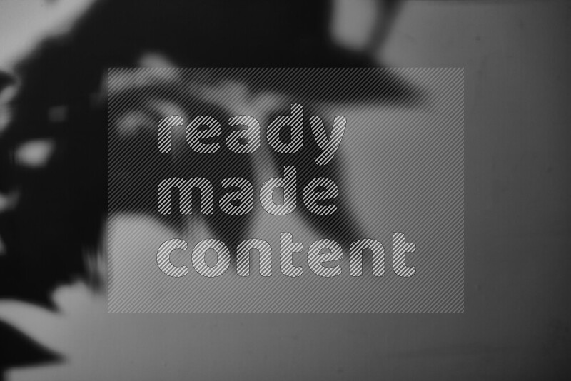 A delicate gobo light projects the silhouette of plant leaves onto a smooth surface