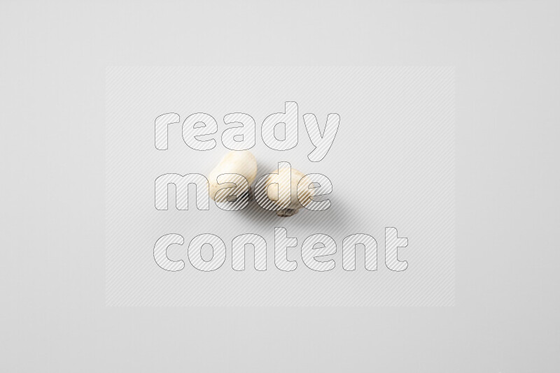 Mushrooms on white background