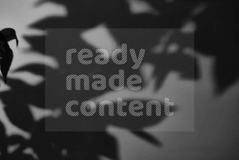 يظهر ضوء غوبو خافت ظلال أوراق نبات تسقط على سطح ناعم