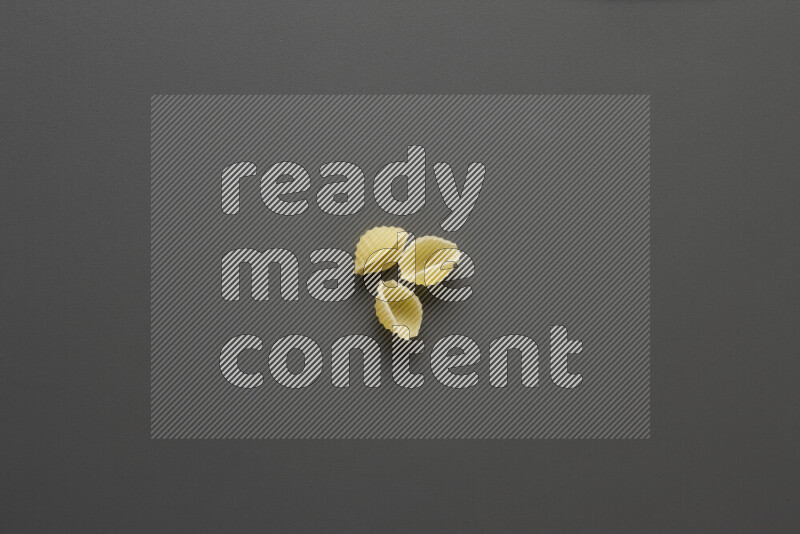Shells pasta on grey background