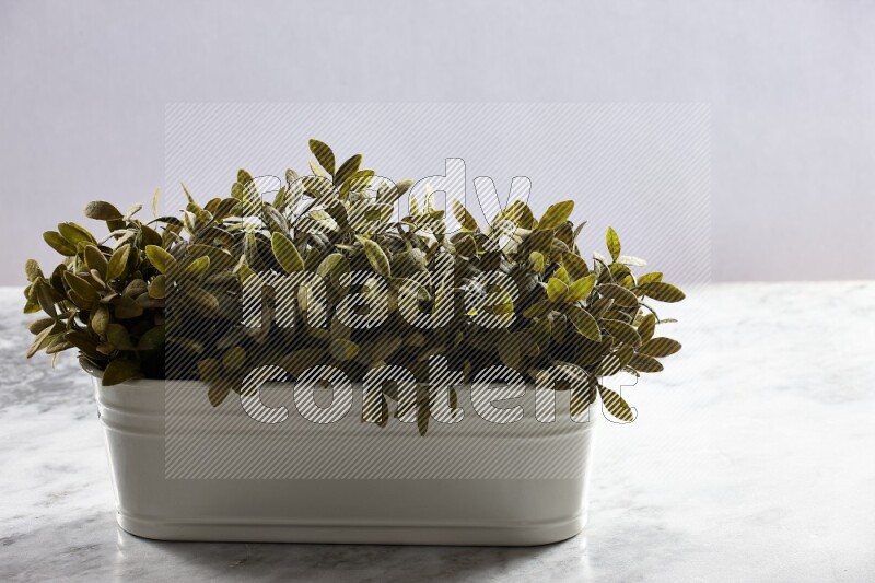 Multiple green artificial plants in white pot on grey marble background